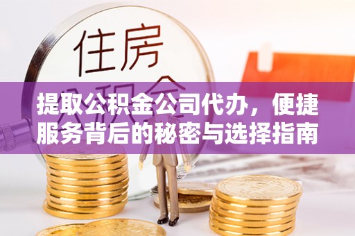 民雄提取公积金公司代办，便捷服务背后的秘密与选择指南
