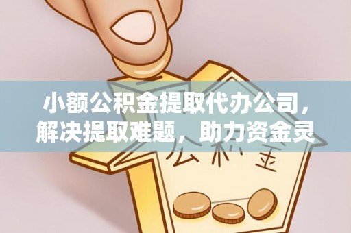 民雄小额公积金提取代办公司，解决提取难题，助力资金灵活使用