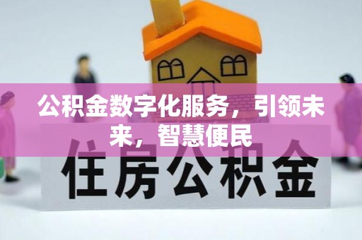 民雄公积金数字化服务，引领未来，智慧便民