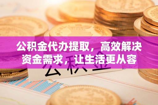 民雄公积金代办提取，高效解决资金需求，让生活更从容