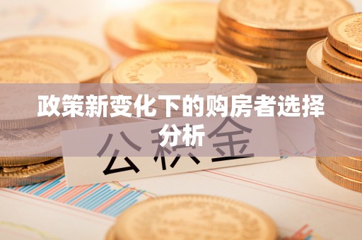民雄政策新变化下的购房者选择分析