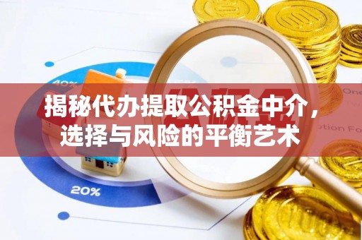 民雄揭秘代办提取公积金中介，选择与风险的平衡艺术