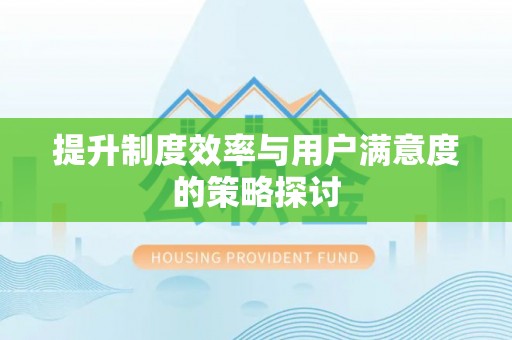 民雄提升制度效率与用户满意度的策略探讨